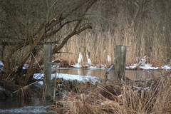 Killikus&reg; Fotographie